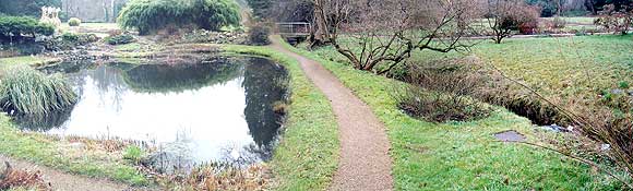 Teich im Botanischen Garten