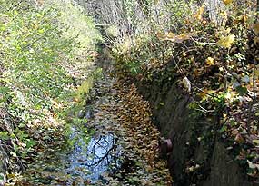 Gerader Bachverlauf auf dem TSG-Gelnde 